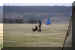 Hunde 252.JPG (407010 Byte)