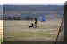 Hunde 253.JPG (407311 Byte)