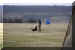 Hunde 254.JPG (404399 Byte)