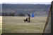 Hunde 255.JPG (405359 Byte)