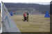 Hunde 260.JPG (395958 Byte)