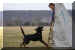 Hunde 263.JPG (371384 Byte)