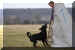 Hunde 264.JPG (362279 Byte)