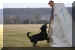 Hunde 265.JPG (364338 Byte)