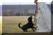 Hunde 269.JPG (368438 Byte)