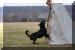 Hunde 271.JPG (402380 Byte)