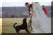 Hunde 278.JPG (372073 Byte)