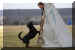 Hunde 283.JPG (368297 Byte)