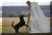 Hunde 284.JPG (355142 Byte)