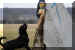 Hunde 287.JPG (349921 Byte)