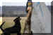 Hunde 288.JPG (350640 Byte)