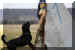 Hunde 289.JPG (350174 Byte)