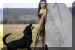 Hunde 290.JPG (339008 Byte)
