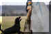 Hunde 291.JPG (351018 Byte)