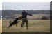Hunde 292.JPG (323666 Byte)