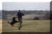 Hunde 293.JPG (341074 Byte)