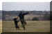 Hunde 294.JPG (323067 Byte)